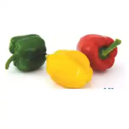 T&G Paprika Tricolore T&G Angebot
