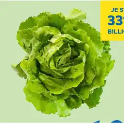 T&G Kopfsalat T&G Angebot
