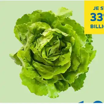 T&G Kopfsalat T&G Angebot
