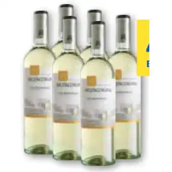 T&G Mezzacorona Chardonnay Trentino DOC T&G Angebot