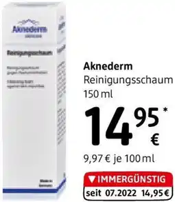 dm Reinigungsschaum Angebot