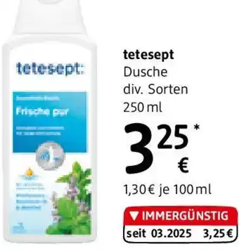 dm Dusche Angebot