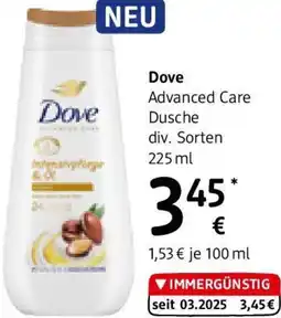 dm Advanced Care Dusche Angebot