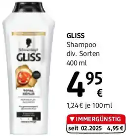 dm Shampoo Angebot