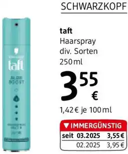 dm Haarspray Angebot