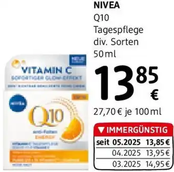 dm Q10 Tagespflege Angebot