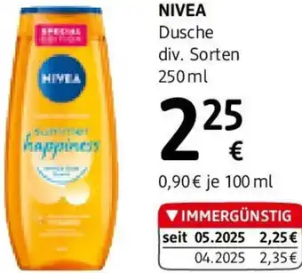 dm Dusche Angebot