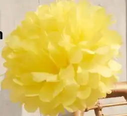 Woolworth Pompoms Angebot