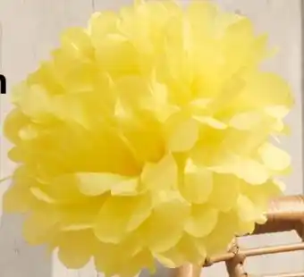 Woolworth Pompoms Angebot