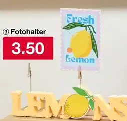 Woolworth Fotohalter Angebot