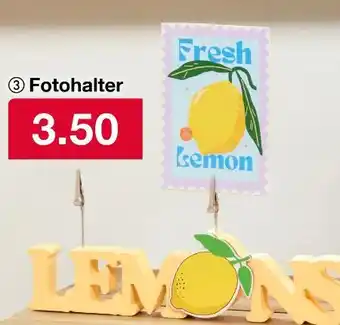 Woolworth Fotohalter Angebot