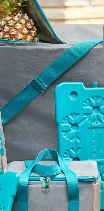 Woolworth Kühltasche Angebot