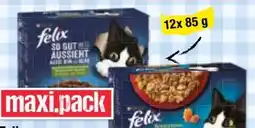 Maximarkt Purina Felix Katzennahrung Angebot