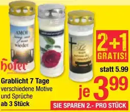 Maximarkt Grablicht Angebot