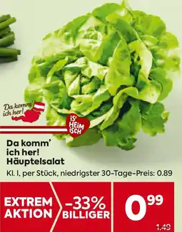 Billa Häuptelsalat Angebot