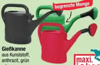 Maximarkt Gießkanne Angebot