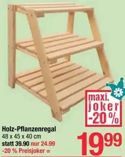 Maximarkt Holz-Pflanzenregal Angebot