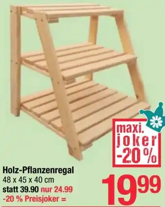 Maximarkt Holz-Pflanzenregal Angebot