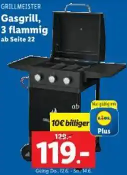 Lidl Gasgrill Angebot
