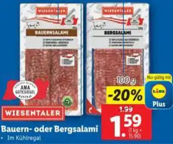 Lidl Bauern- oder Bergsalami Angebot