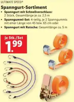Lidl Spanngurt-Sortiment Angebot