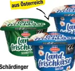 Maximarkt Schärdinger Landfrischkäse Angebot
