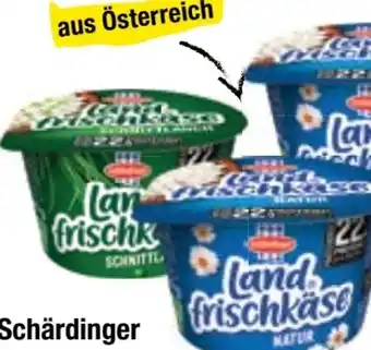 Maximarkt Schärdinger Landfrischkäse Angebot