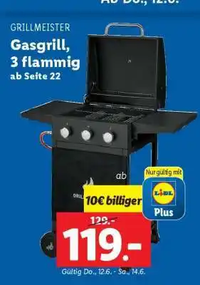 Lidl GRILLMEISTER Angebot