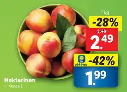 Lidl Nektarinen Angebot