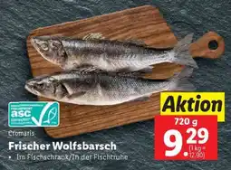 Lidl Frischer Wolfsbarsch Angebot
