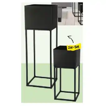 Maximarkt Metall-Blumenständer-Set maxi.preisjoker Maximarkt Angebot