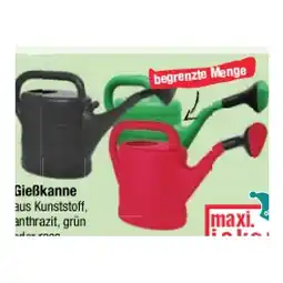 Maximarkt Gießkanne 2 Liter maxi.preisjoker Maximarkt Angebot