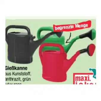Maximarkt Gießkanne 2 Liter maxi.preisjoker Maximarkt Angebot