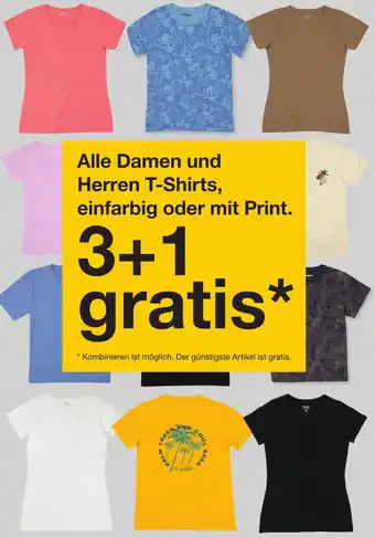 Zeeman Alle Damen und Herren T-Shirts Angebot
