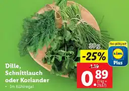 Lidl Dille, Schnittlauch oder Koriander Angebot