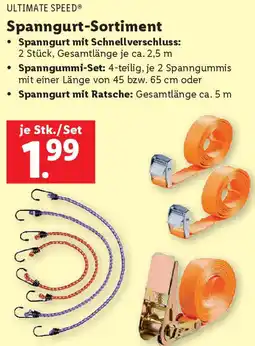 Lidl Spanngurt-Sortiment Angebot