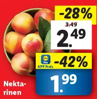 Lidl Nekta- rinen Angebot