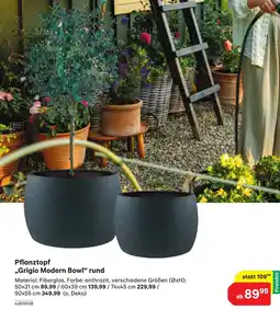 BayWa Pflanztopf Angebot
