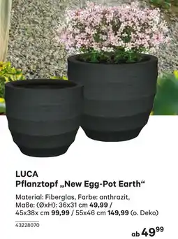 BayWa Pflanztopf Angebot