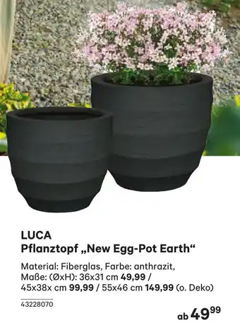 BayWa Pflanztopf Angebot