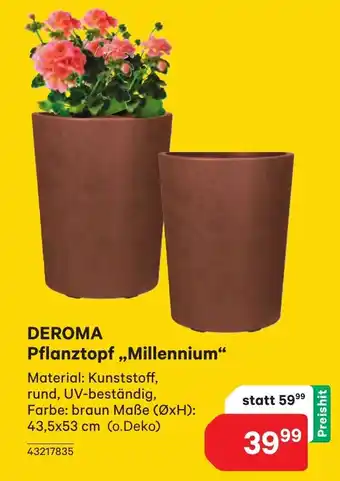 BayWa Pflanztopf Angebot