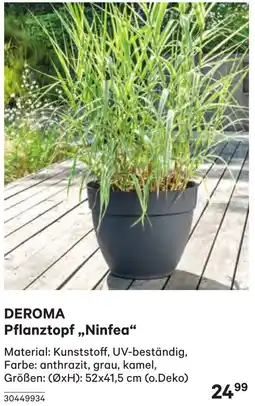 BayWa Pflanztopf Angebot