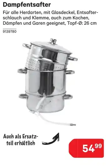 BayWa Dampfentsafter Angebot
