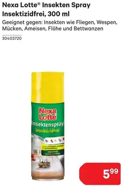 BayWa Insekten Spray Insektizidfrei Angebot