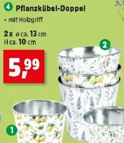 Thomas Philipps Pflanzkübel-Doppel Angebot
