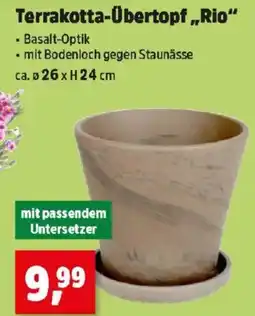 Thomas Philipps Terrakotta-Übertopf,,Rio Angebot