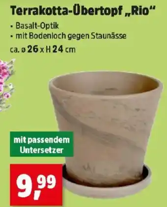 Thomas Philipps Terrakotta-Übertopf,,Rio Angebot