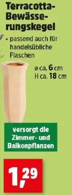 Thomas Philipps Terracotta- Bewässe- rungskegel Angebot