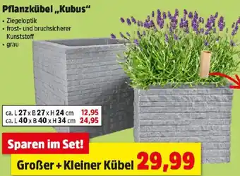Thomas Philipps Pflanzkübel,,Kubus Angebot