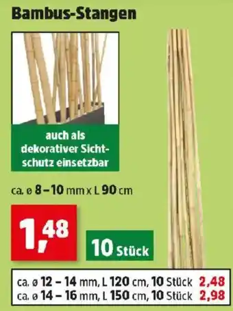 Thomas Philipps Bambus-Stangen Angebot